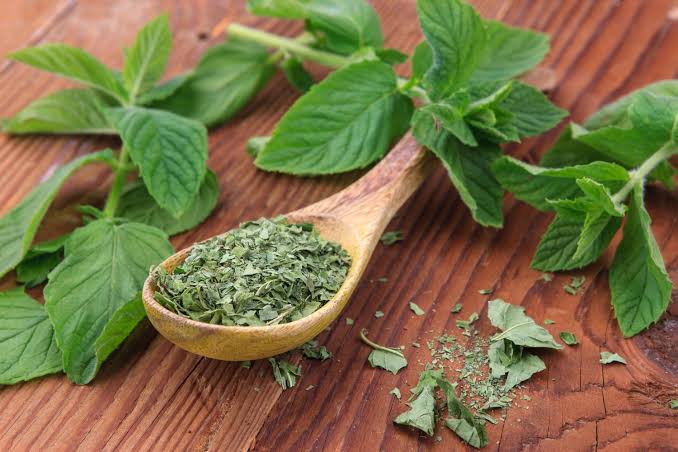 Dried Mint